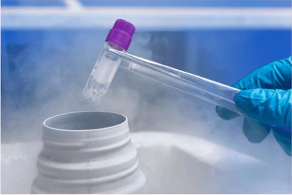 ashokaivf-advance-embryo-bank-treatment