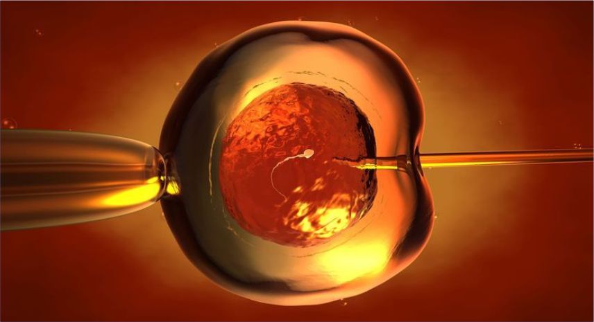ashokaivf-advance-icsi-treatment