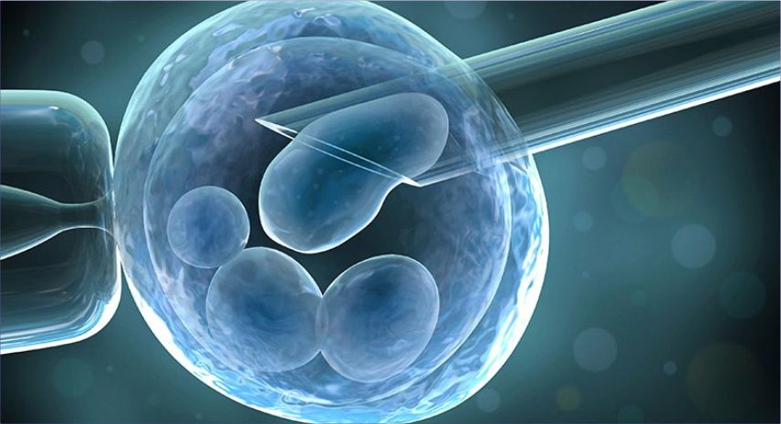 ashokaivf-advance-imsi-treatment