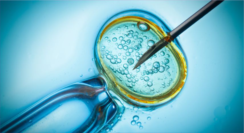ashokaivf-advance-cytoplasmic-transfer-treatment